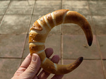 080429-04.jpg