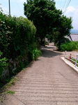 080804-03.jpg