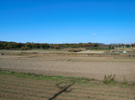 081123-01.jpg